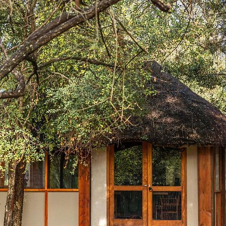 Ndzhaka Tented Camp Manyeleti Game Reserve Zewnętrze zdjęcie