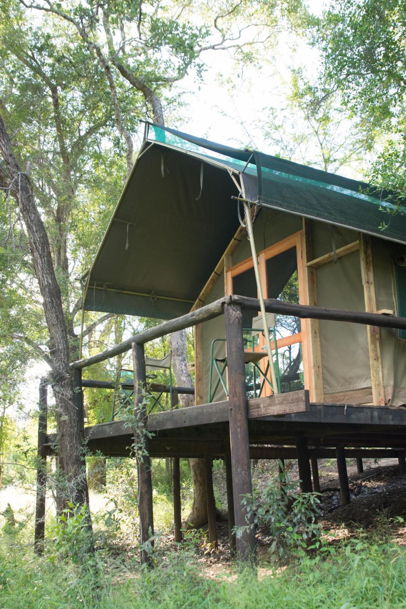 Ndzhaka Tented Camp Manyeleti Game Reserve Pokój zdjęcie