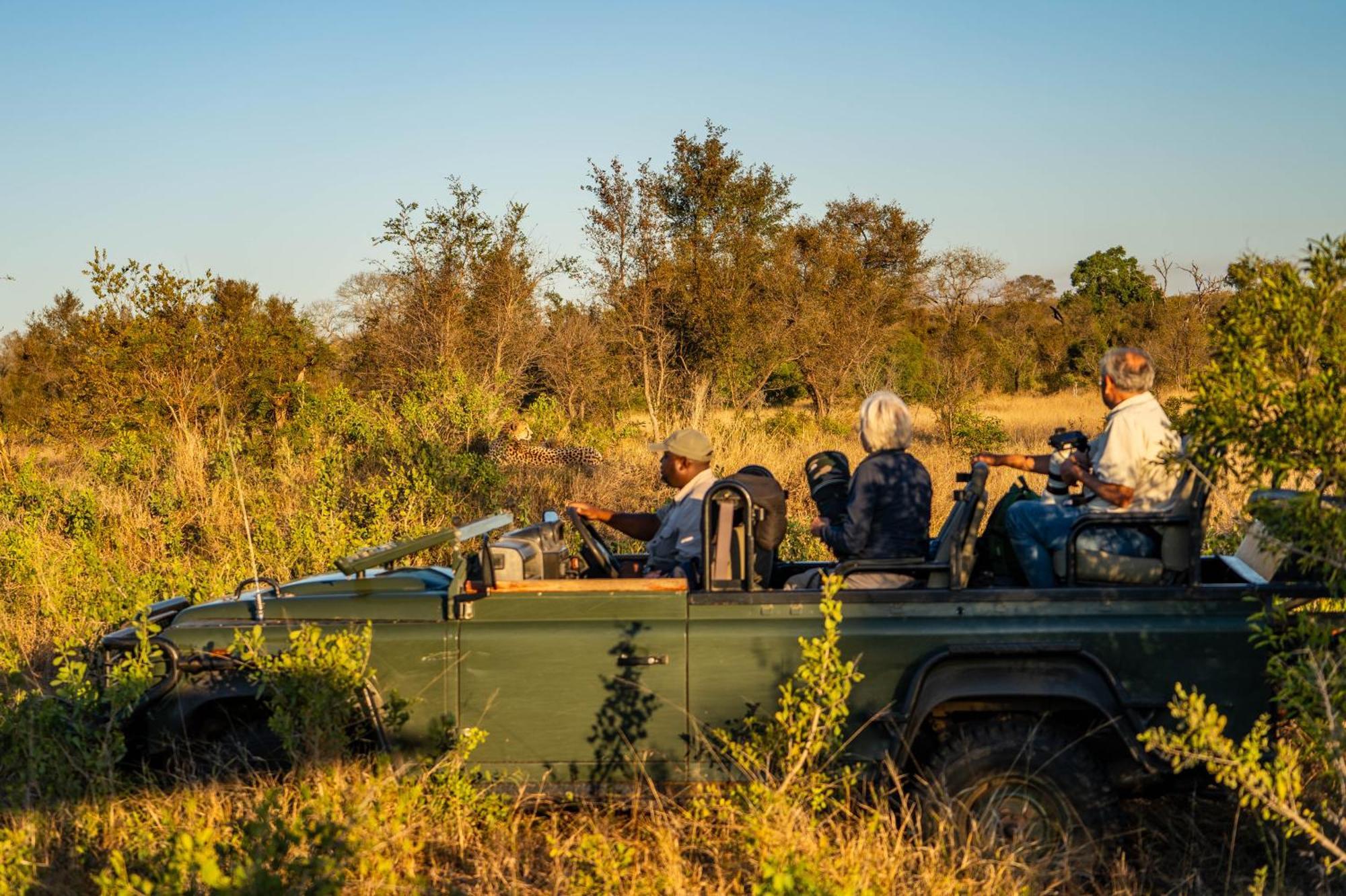 Ndzhaka Tented Camp Manyeleti Game Reserve Zewnętrze zdjęcie