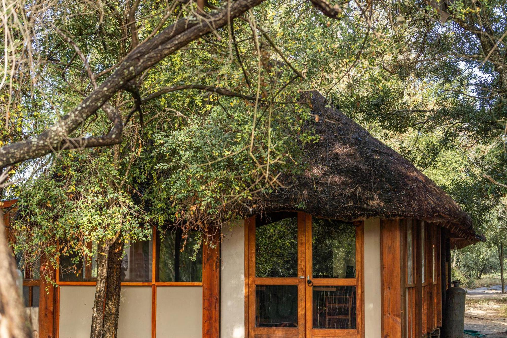 Ndzhaka Tented Camp Manyeleti Game Reserve Zewnętrze zdjęcie