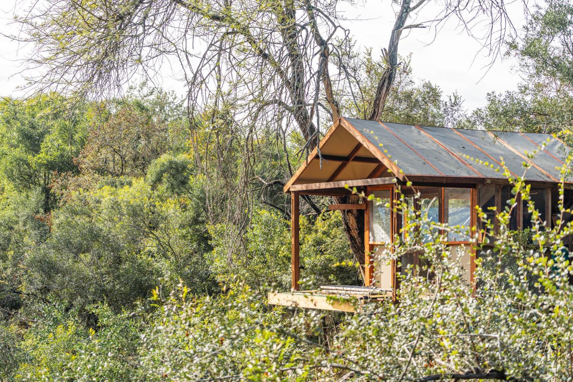 Ndzhaka Tented Camp Manyeleti Game Reserve Zewnętrze zdjęcie