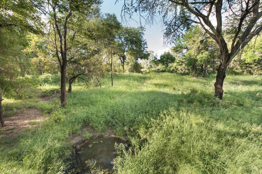 Ndzhaka Tented Camp Manyeleti Game Reserve Zewnętrze zdjęcie