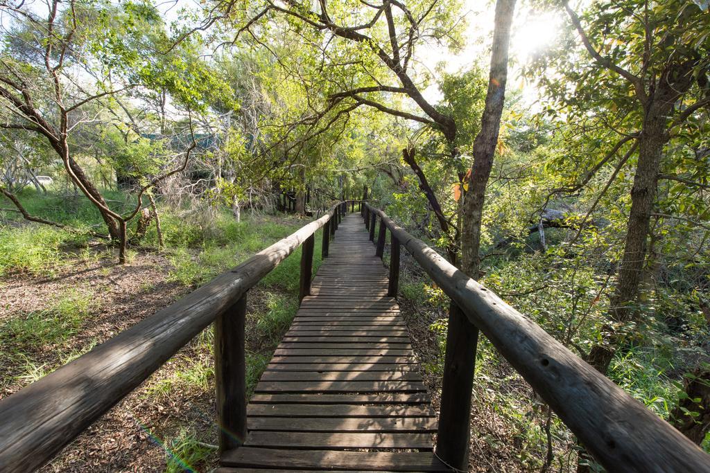 Ndzhaka Tented Camp Manyeleti Game Reserve Zewnętrze zdjęcie